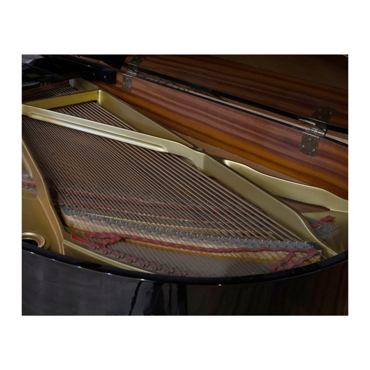 Black Grand Piano Strings
