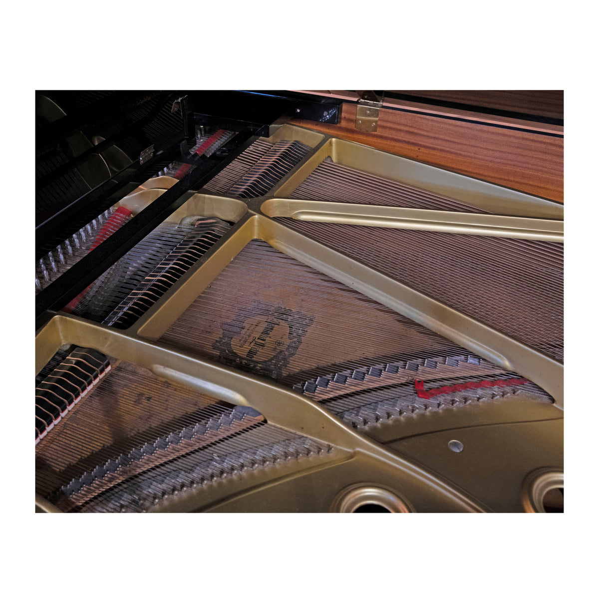 Inside a Grand Piano