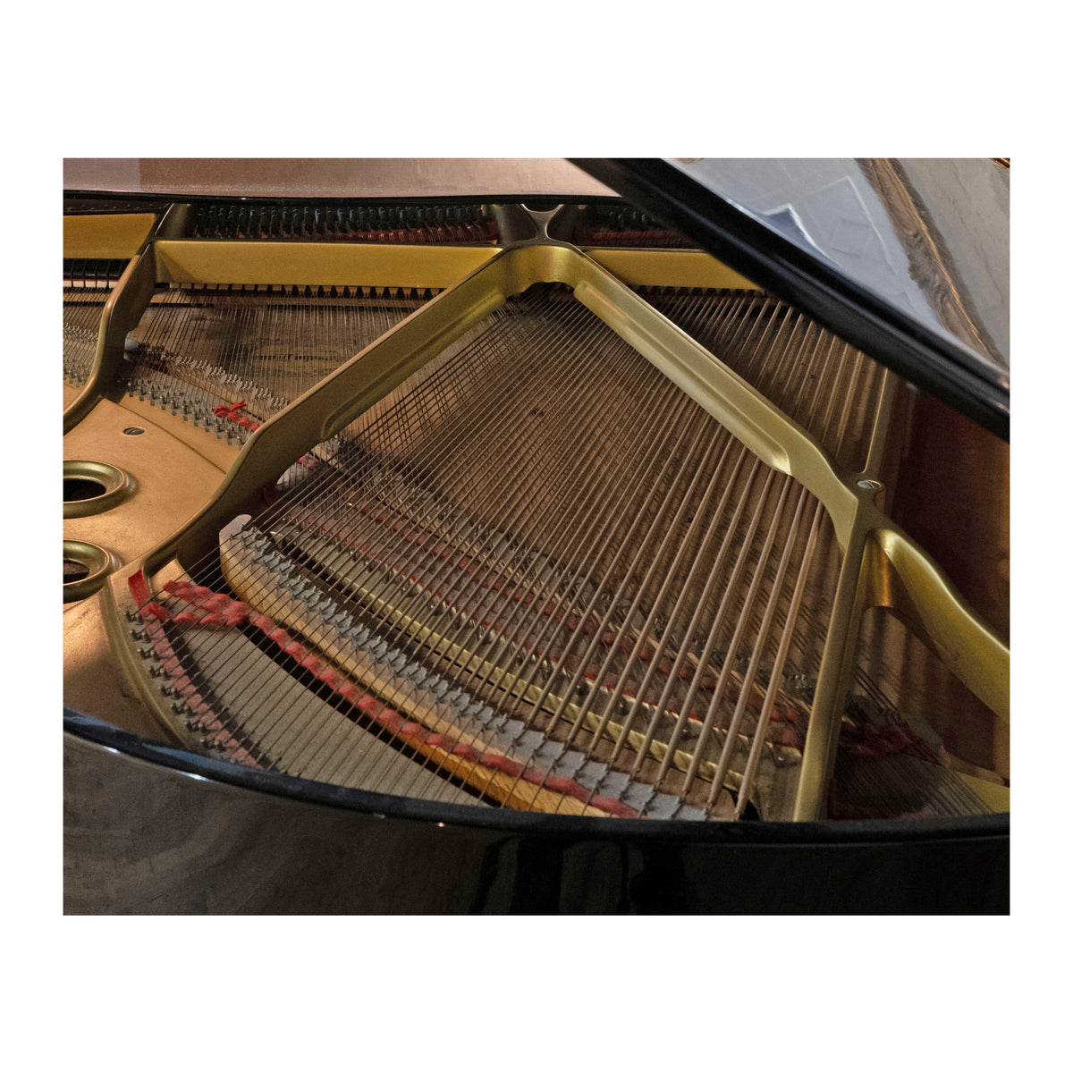 Yamaha C3 Grand Piano Strings